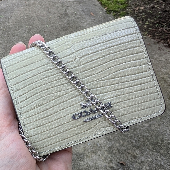 Coach Mini Wallet On A Chain Pale Green NEW WITH TAGS - Picture 1 of 8